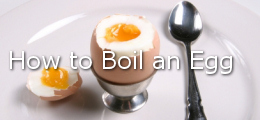 boiled egg