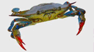Guide to crabs