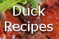 duck recipes