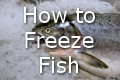 freezing fish