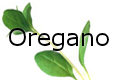 oregano