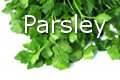 parsley