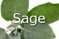 sage