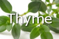 thyme