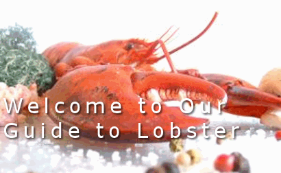 Guide to lobster