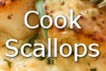 cook-scallops