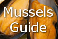 mussels
