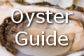 oysters