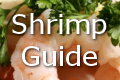 shrimp prawn