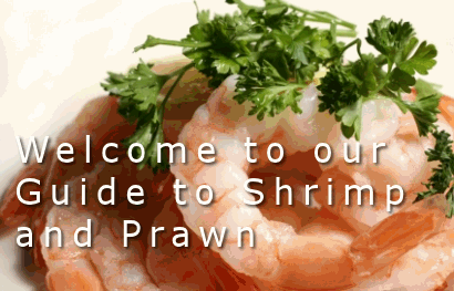 Guide to Shrimp and Prawn