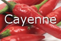 cayenne