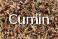 cumin