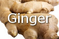 ginger